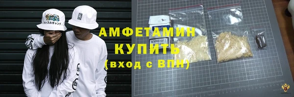 ешки Бородино