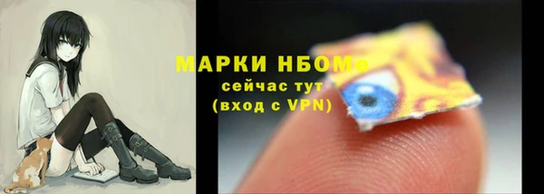 ешки Бородино