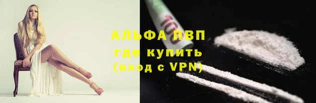 ешки Бородино