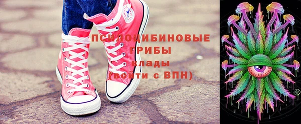 ешки Бородино