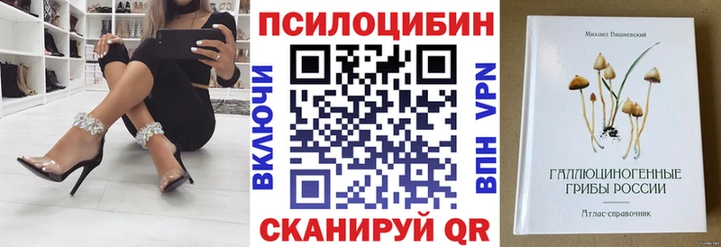 Псилоцибиновые грибы Psilocybe  Купить закладки  Красноуфимск 